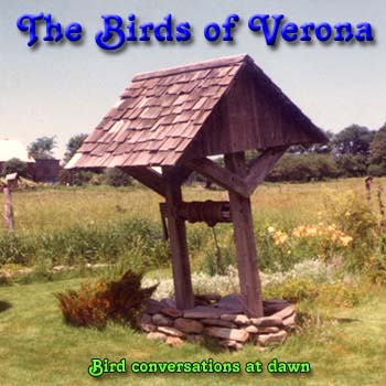 The Birds of Verona 